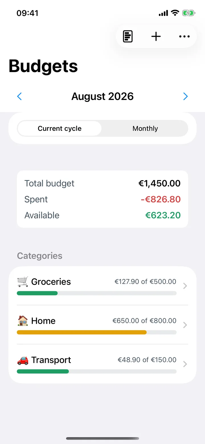 Budgets screen: total budgeted, spent and available, with a progress bar per category.